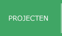 Projecten